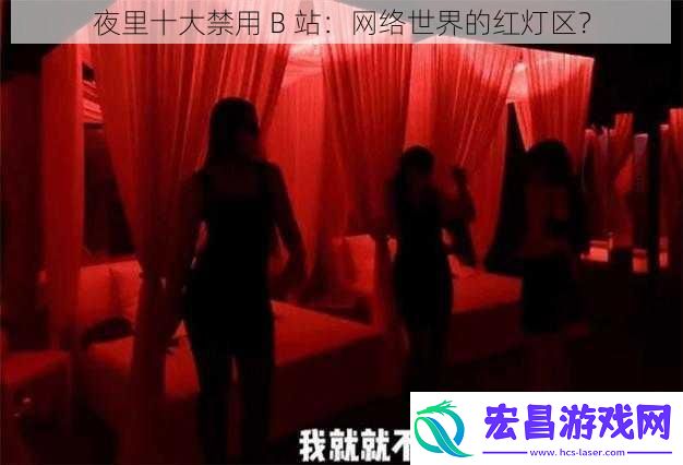夜里十大禁用B站