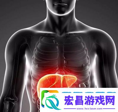 办公室强肝