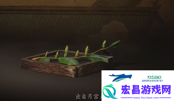 黑神话悟空梭罗琼芽怎么获得梭罗琼芽获取方法