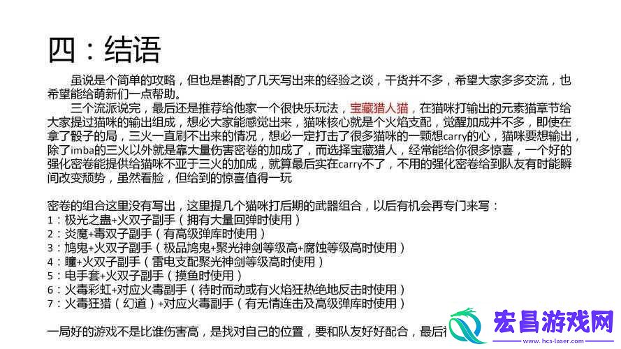 枪火重生猫流派深度解析
