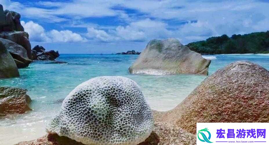 黎明之海探险揭秘