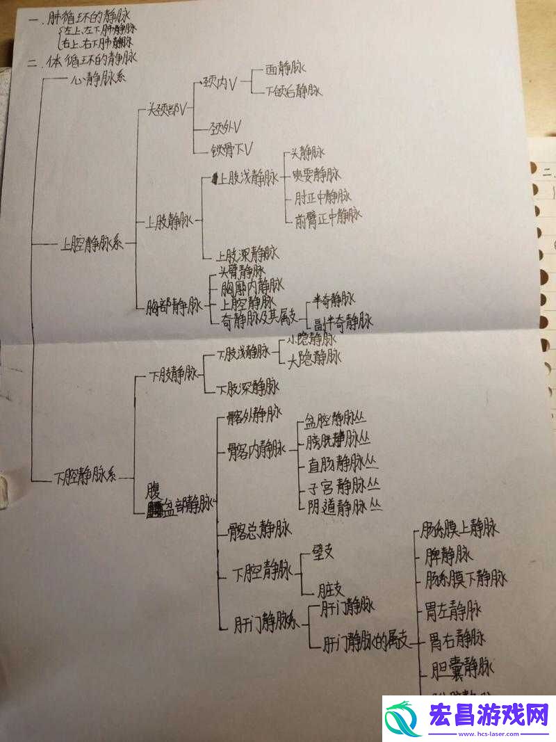 深入剖析生化公司循环系统的运作机制与功能详解