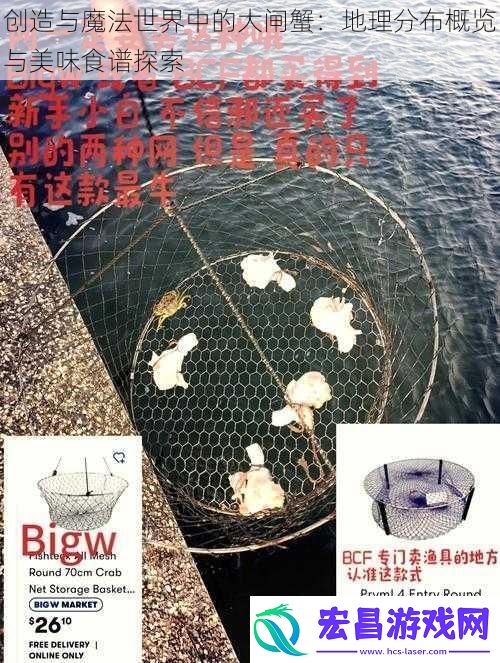 创造与魔法世界中的大闸蟹