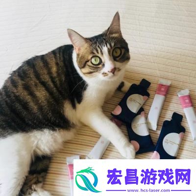 晚安森林猫酱穿搭更换方法详解【游戏攻略】