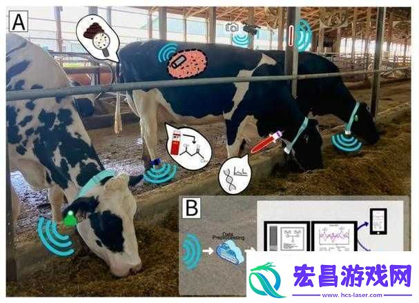 人畜禽