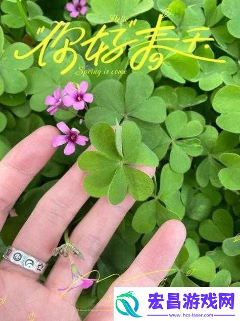 成品人和精品人的区别四叶草