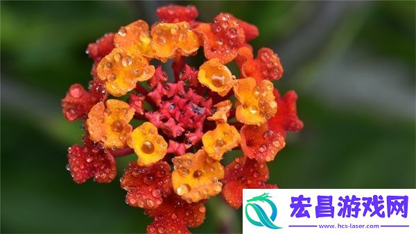 小烧货几天没弄了这么多水了方法