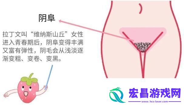 大荫蒂BBBBBB大荫蒂