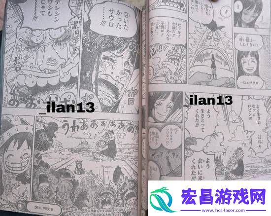 海贼王1133话情报