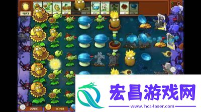 植物大战僵尸杂交版前院告急第6关通关攻略分享