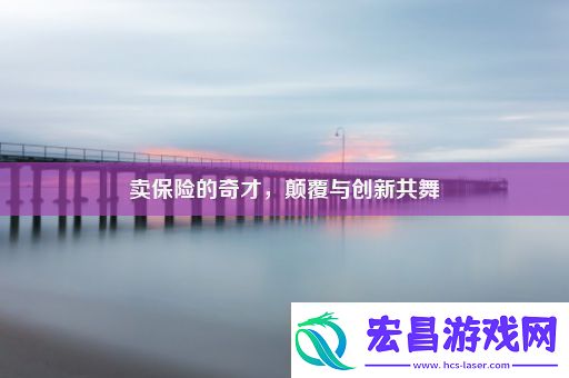 卖保险的奇才