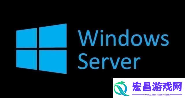 日本WindowsServer引发热议网友