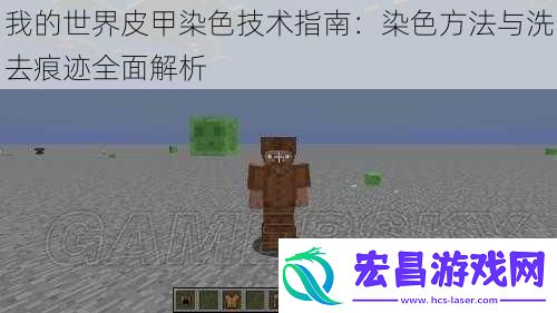 我的世界皮甲染色技术指南