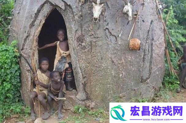 非洲人与性动交