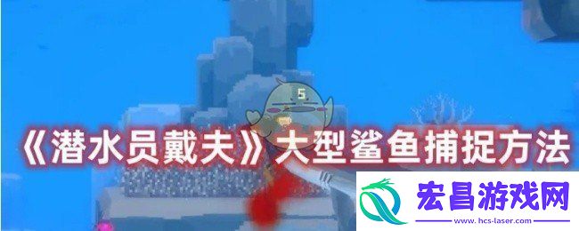 潜水员戴夫怎么捕捉大型鲨鱼