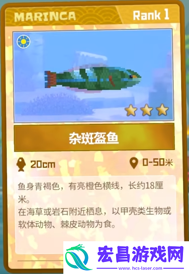 潜水员戴夫杂斑盔鱼捕捉攻略