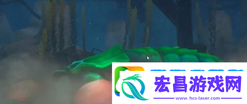 潜水员戴夫螳螂虾怎么打