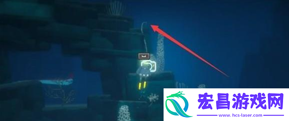潜水员戴夫羽状珊瑚和莲状珊瑚在哪位置介绍