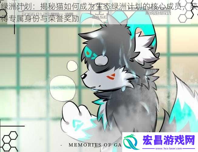 绿洲计划