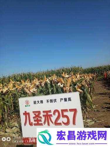 991精产三产区区别首次亮相震撼登场