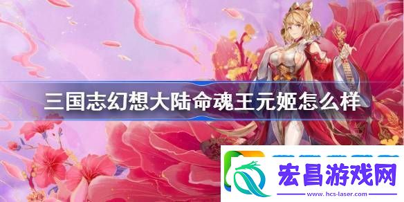 三国志幻想大陆命魂王元姬怎么样