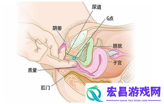探索“大荫蒂BBBBBB大荫蒂”的无限魅力