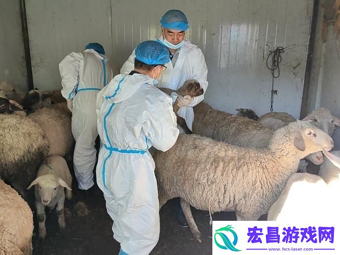人与马畜禽CORPORATION翻译