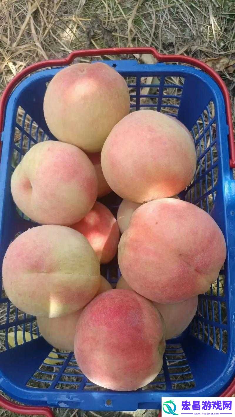 水蜜桃一三四专区