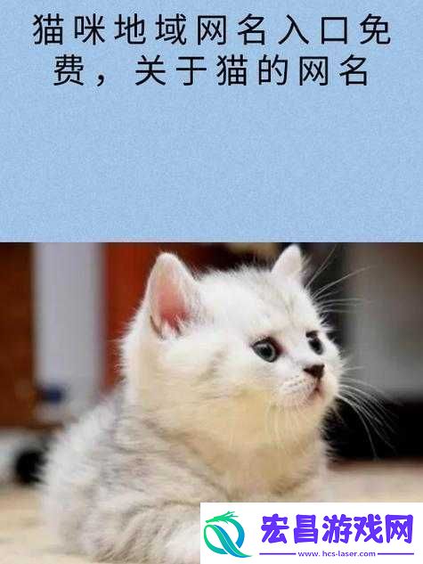 猫咪最新地域名怎么取