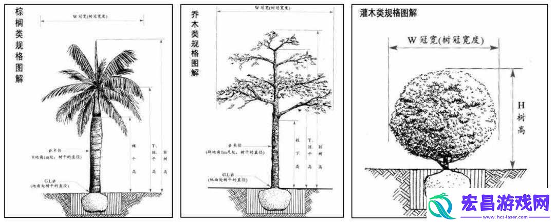 如何开启树上珍贵宝箱的实用方法及技巧探讨