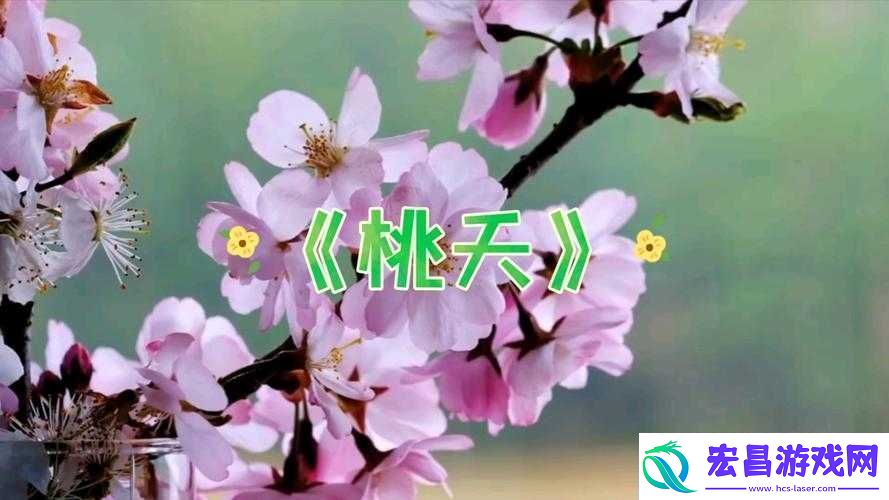 桃之夭夭
