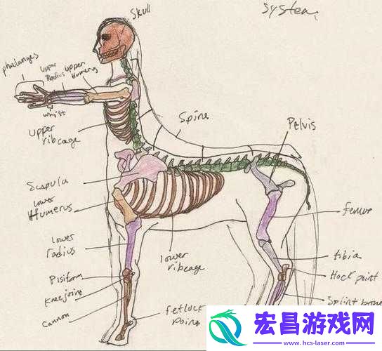 人马是怎么匹配的视频