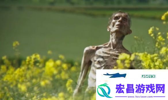 知名恐怖片惊变28年续集定名定档2026年上映！