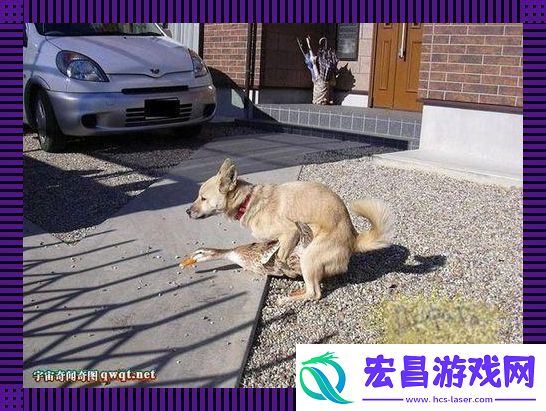 兽性逆袭