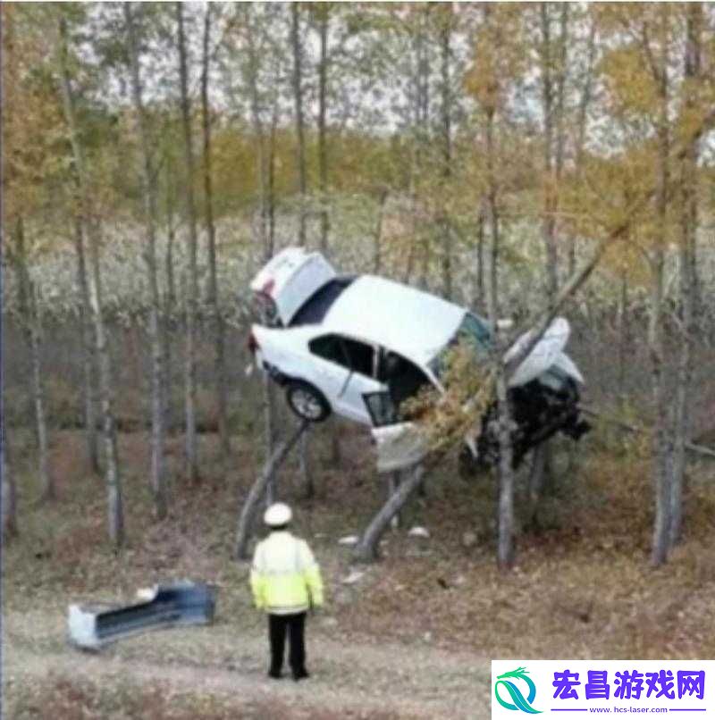 见了在车里做了