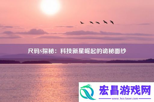 尺码S探秘