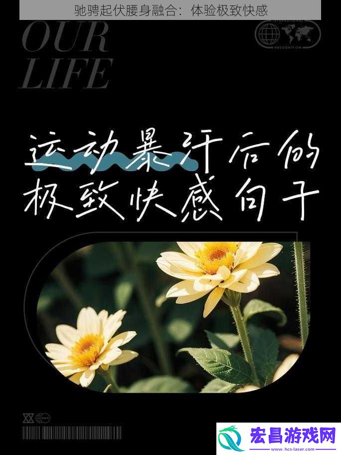 驰骋起伏腰身融合