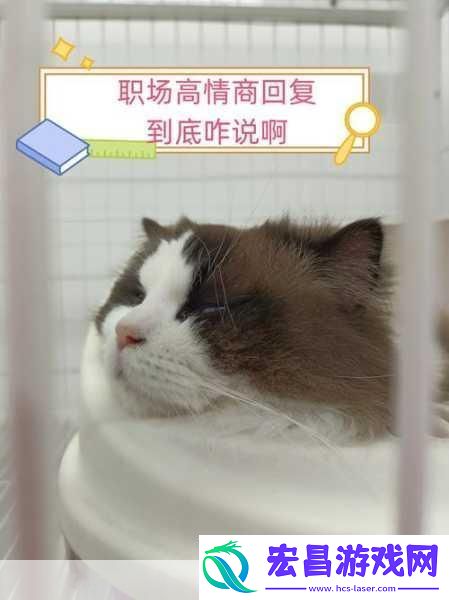 给老子叫