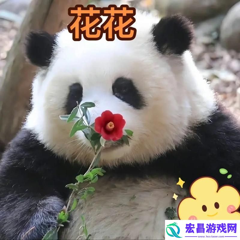 滚滚红尘