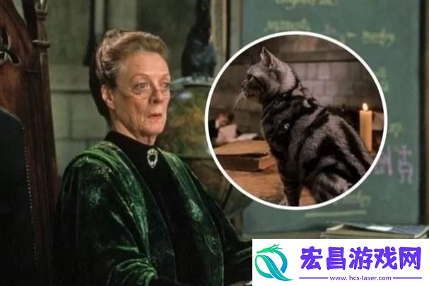 教授好会c1vNP拦路猫