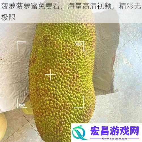 菠萝菠萝蜜免费看海量高清视频精彩无极限