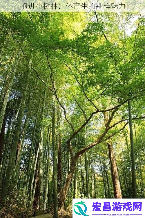 抱进小树林