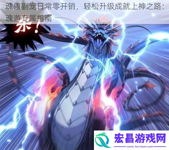 魂兽副宠日常零开销