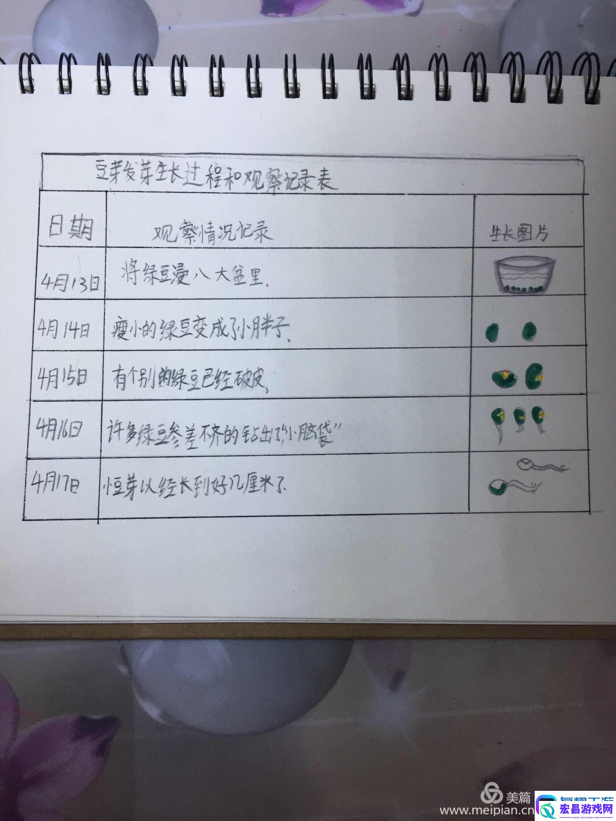 探秘成长密语③