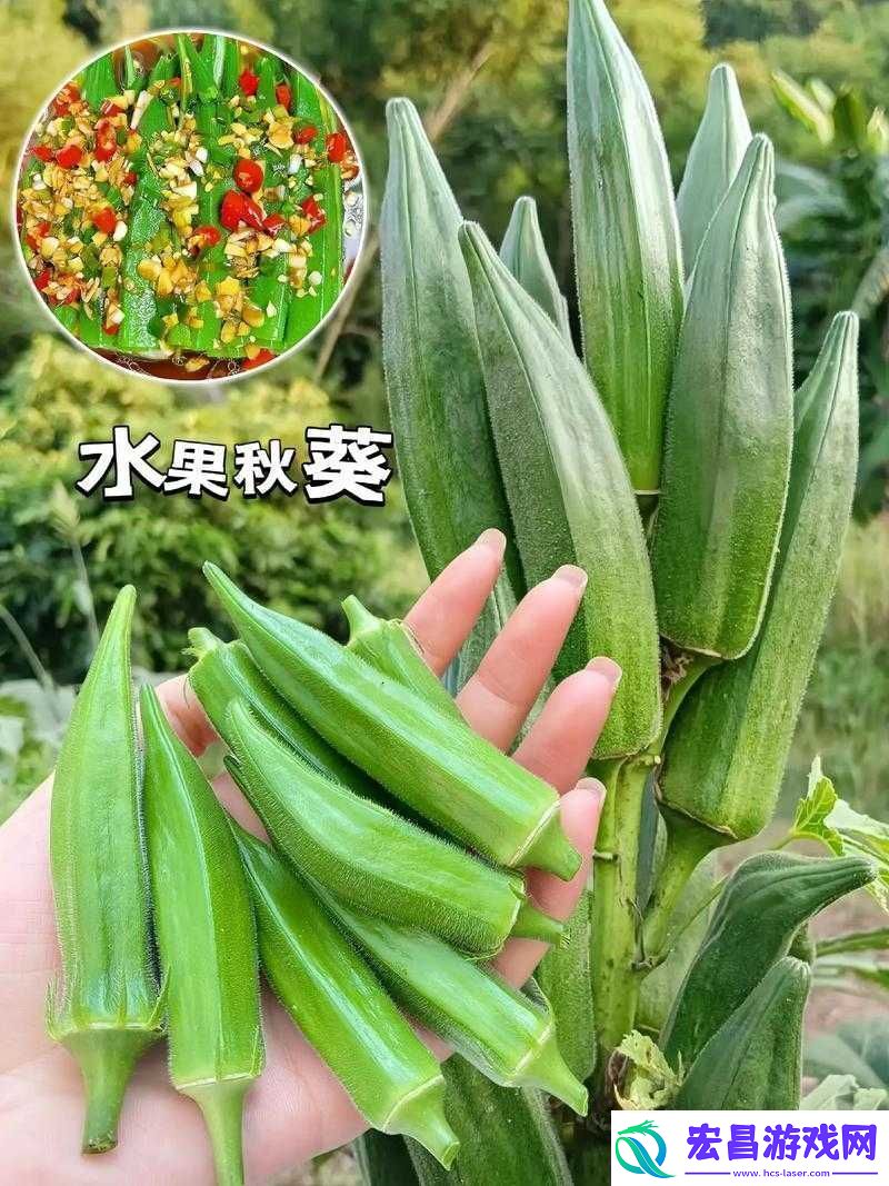 丝瓜芭乐荔枝秋葵免费汅