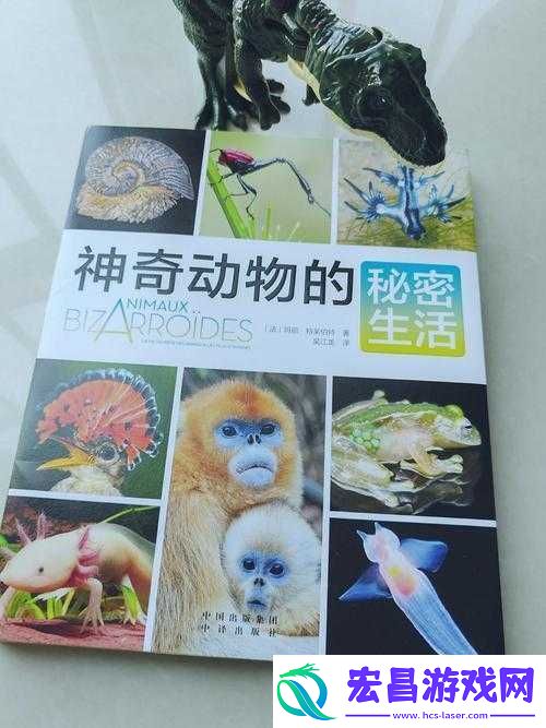 最新美国ZOOM动物