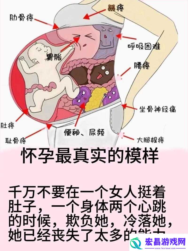 在WWW孕妇的世界里
