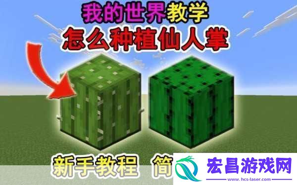我的世界仙人掌