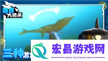 波西亚时光