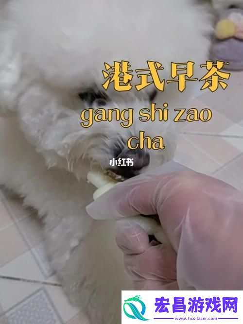 动物胶配方高清视频大全